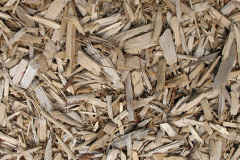 biomass boilers Turners Puddle